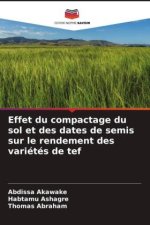 Effet du compactage du sol et des dates de semis sur le rendement des variétés de tef