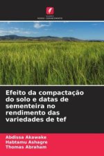 Efeito da compactaç?o do solo e datas de sementeira no rendimento das variedades de tef