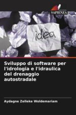 Sviluppo di software per l'idrologia e l'idraulica del drenaggio autostradale
