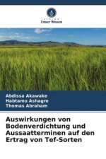 Auswirkungen von Bodenverdichtung und Aussaatterminen auf den Ertrag von Tef-Sorten