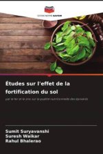 Études sur l'effet de la fortification du sol