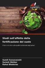 Studi sull'effetto della fortificazione del suolo