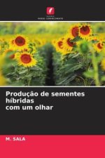 Produç?o de sementes híbridas com um olhar