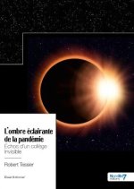 L'ombre éclairante de la pandémie
