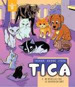 TICA 2