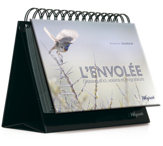 L'Envolée