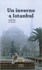 inverno a Istanbul