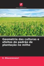Geometria das culturas e efeitos do padr?o de plantaç?o no milho