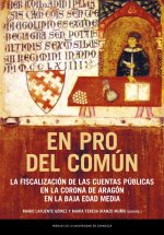 En pro del común : la fiscalización de las cuentas públicas en la Corona de Aragón en la Baja Edad Media