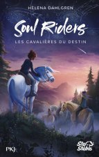The Soul Riders - Tome 1