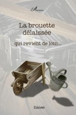 La brouette délaissée