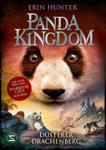 Panda Kingdom - Düsterer Drachenberg