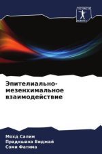 Jepitelial'no-mezenhimal'noe wzaimodejstwie