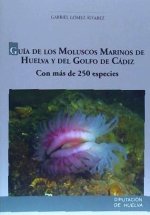 Guía de los moluscos marinos de Huelva y del Golfo de Cádiz : con más de 250 especies