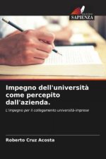 Impegno dell'universit? come percepito dall'azienda.