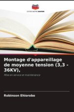 Montage d'appareillage de moyenne tension (3,3 - 36KV),