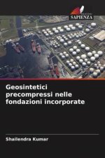 Geosintetici precompressi nelle fondazioni incorporate