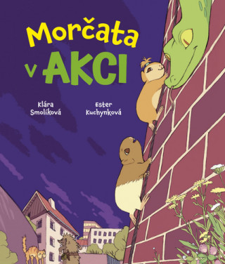 Morďż˝ata v akci