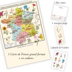 Carte de France Vintage - Régions administratives et fleurs de France - Affiche A1