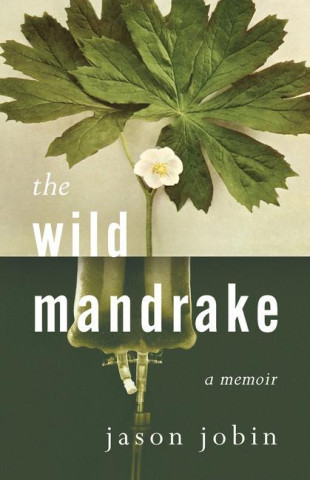 Wild Mandrake