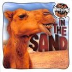 In the Sand
