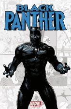 Black Panther. Marvel-verse