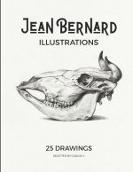 Jean Bernard Illustrations Pencil Drawings
