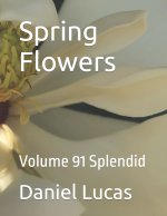 Spring Flowers