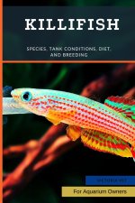 Killifish