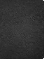 CSB Life Counsel Bible, Genuine Leather: Practical Wisdom for All of Life