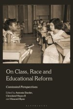 On Class, Race and Educational Reform