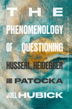Phenomenology of Questioning