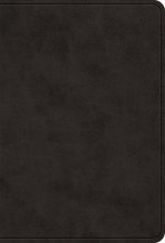 ESV Value Large Print Compact Bible (Trutone, Black)