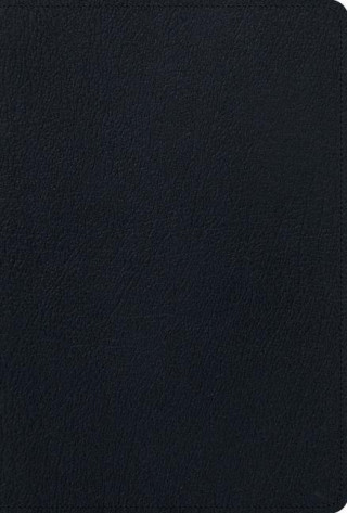 ESV Men's Study Bible (Black)