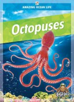 Octopuses