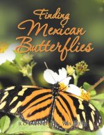 Finding Mexican Butterflies