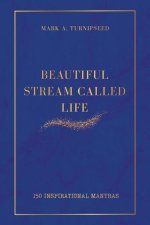 Beautiful Stream Called Life: 150 inspirational mantras