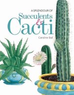 Splendour of Succulents & Cacti
