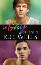 Le gay du train
