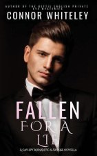 Fallen For A Lie: A Gay Spy Romantic Suspense Novella