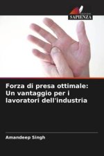 Forza di presa ottimale: Un vantaggio per i lavoratori dell'industria