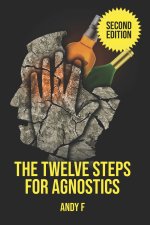 Twelve Steps For Agnostics
