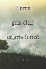 Entre gris clair et gris fonce
