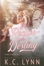 Recipe for Destiny