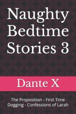 Naughty Bedtime Stories 3