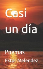 Casi un dia