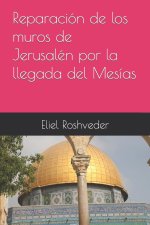 Reparacion de los muros de Jerusalen por la llegada del Mesias