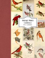 Vintage Prints