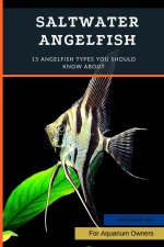 Saltwater Angelfish