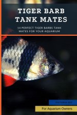 Tiger Barb Tank Mates
